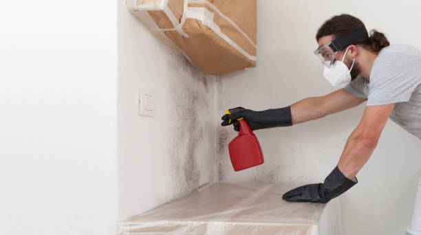 Professional Mold Remediation technician working in Stow, MA